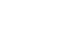 Stedy